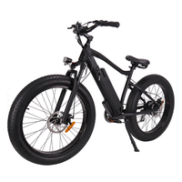 Off Road 750 Watt Electric Bike