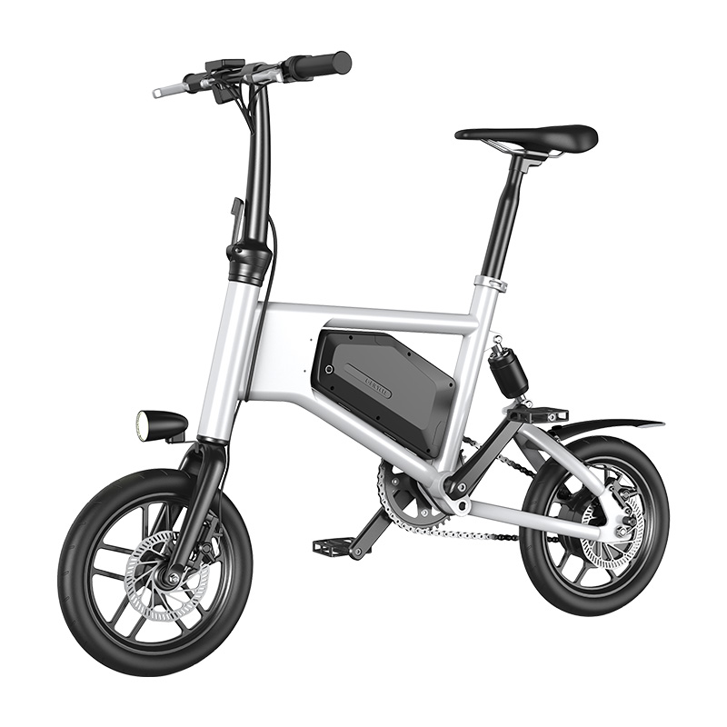 Battery-Powered Electric Bike
