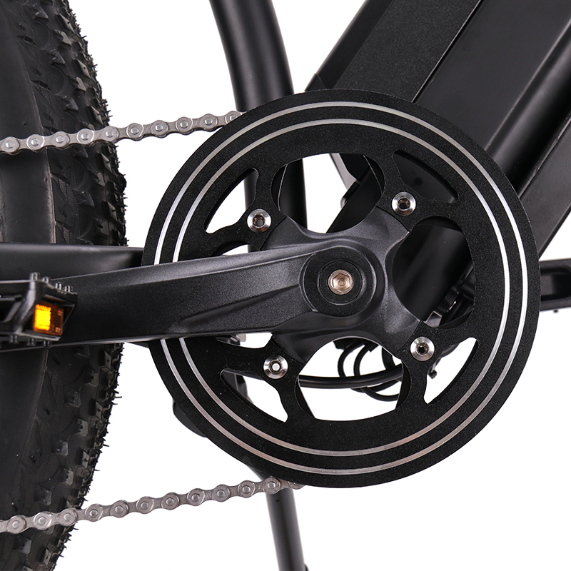 Off Road 750 Watt Electric Bike